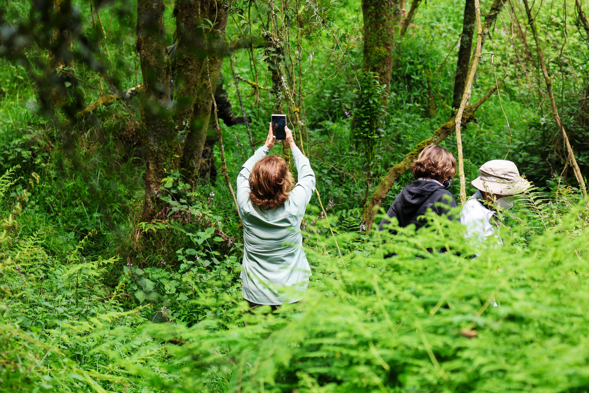 7 Days Rwanda Safari