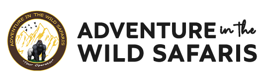 Gorilla trekking in Rwanda