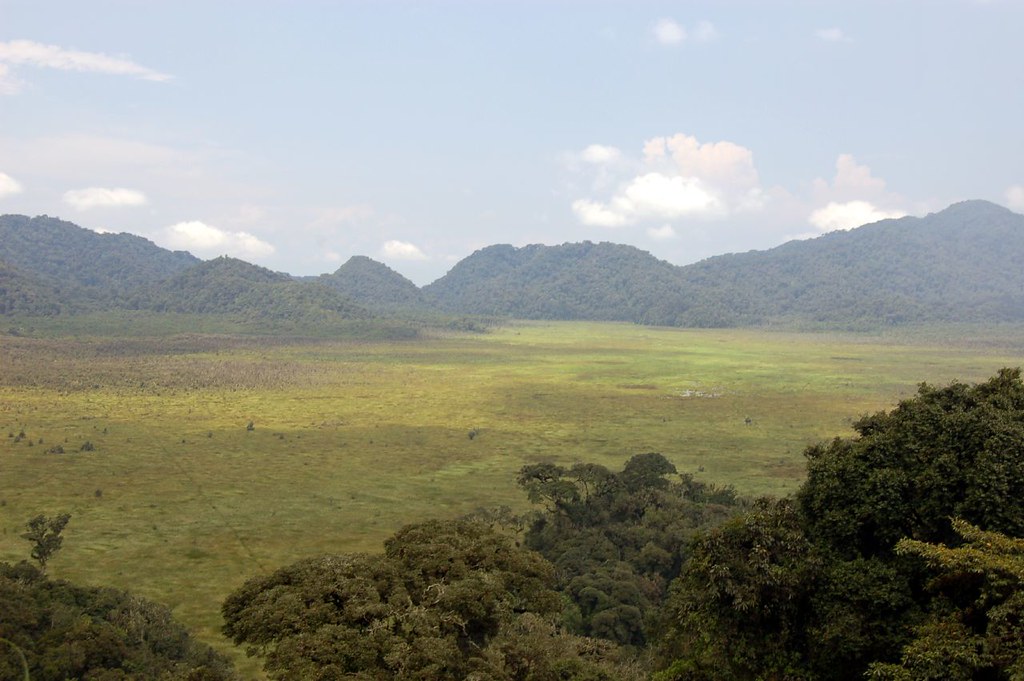 397550378_5a32b1d38e_b