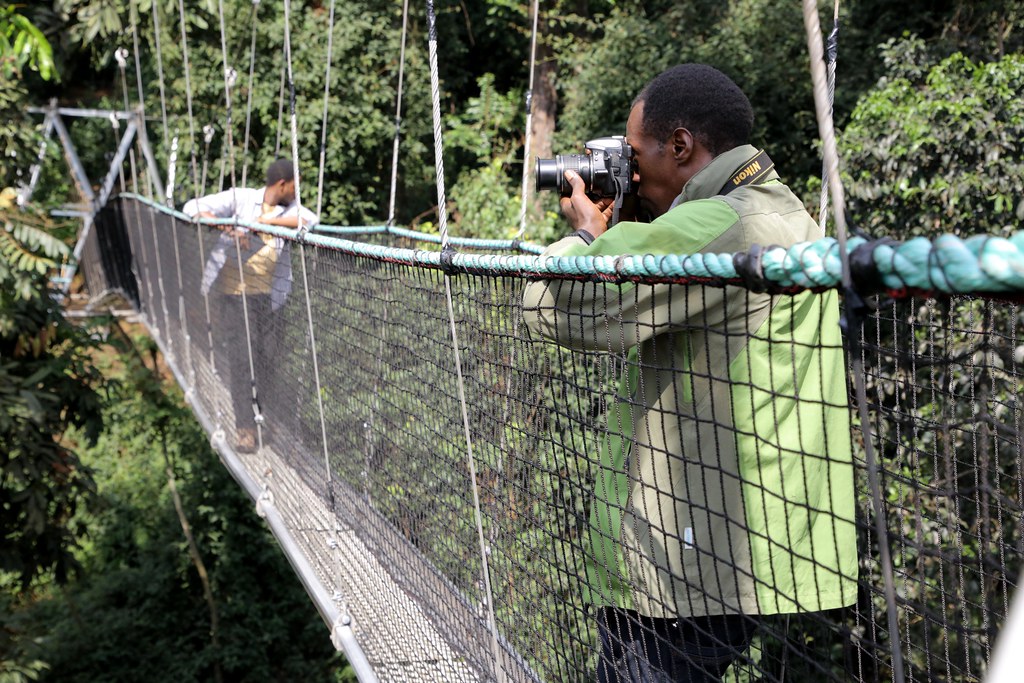 48288615987_993fe05d3e_b