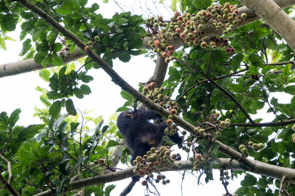 49198003946_eaabfab19d_b (1)