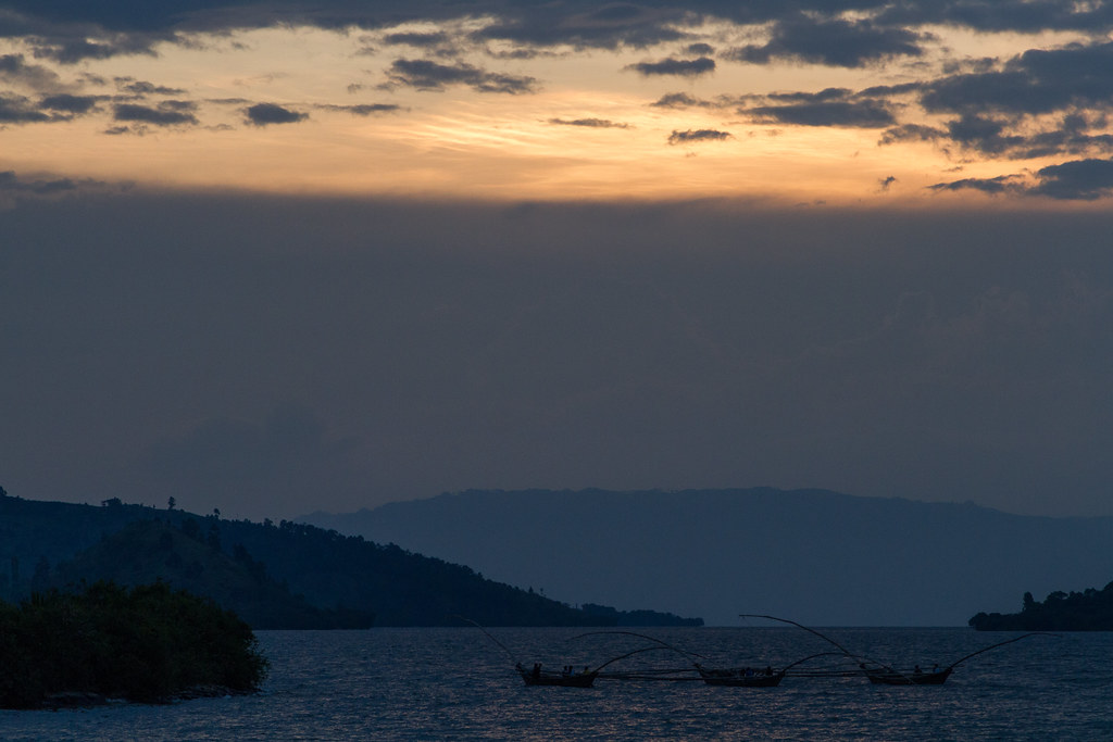 49964229603_1f972ed3fb_b