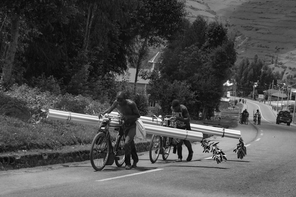 49997035483_42e003c7c2_b