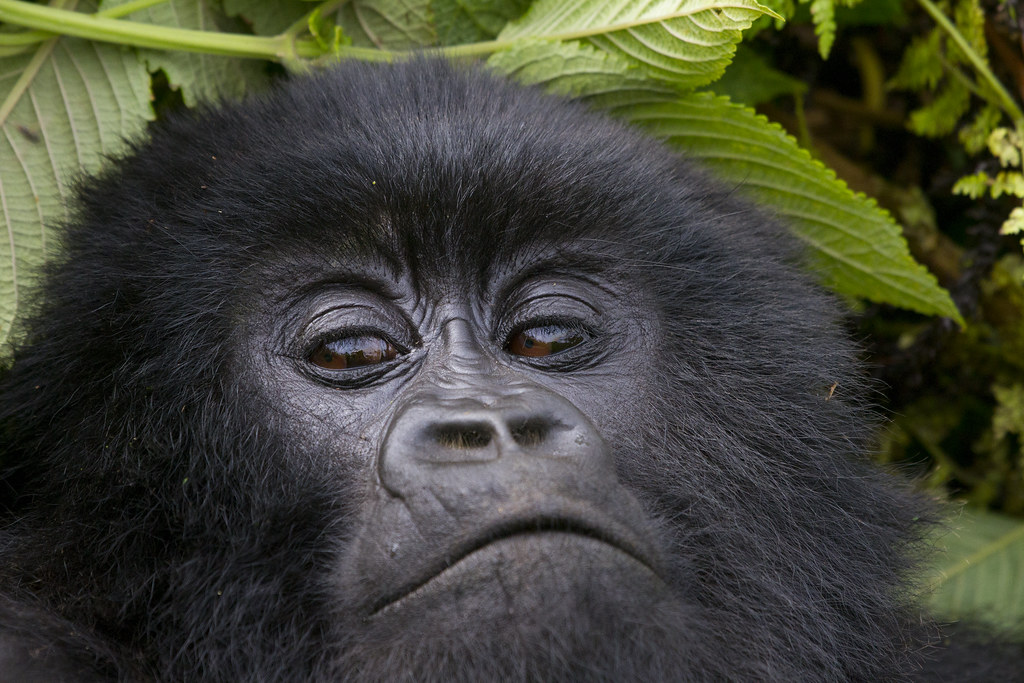 50307924948_15faf0f8c3_b