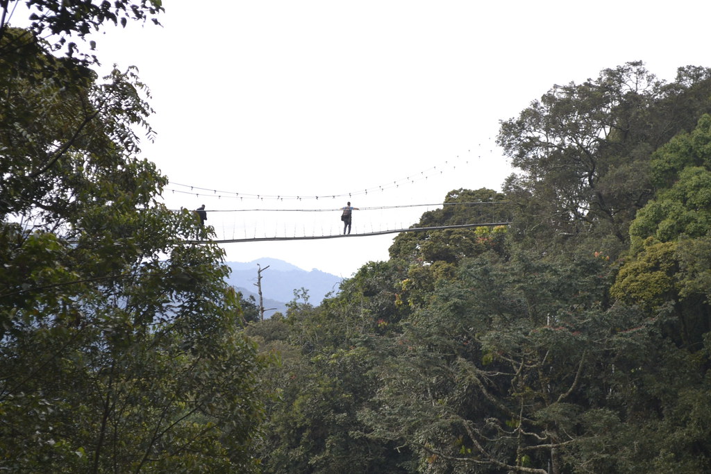 50821563517_e5f5fb96c5_b