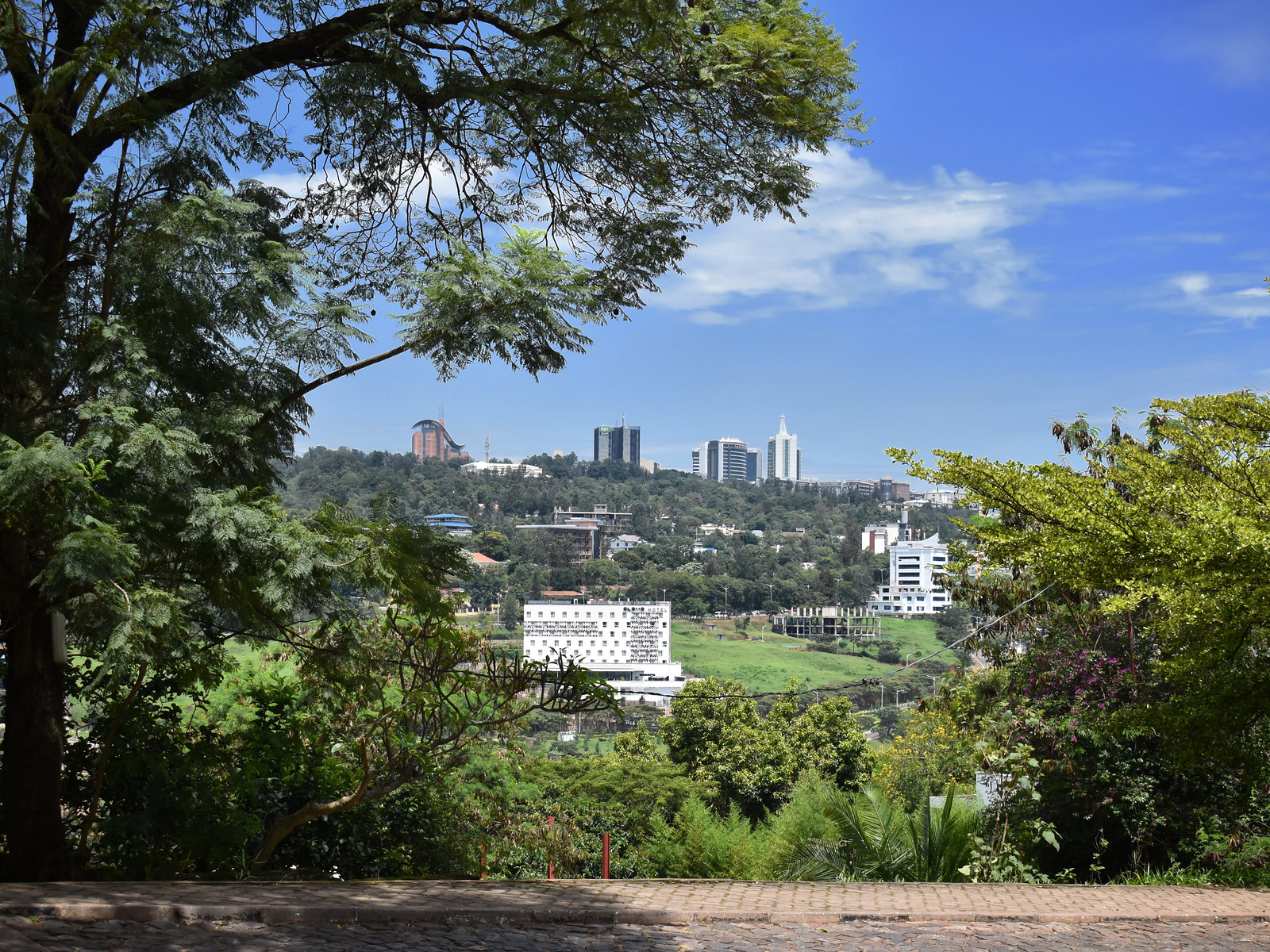 52809332053_45f4deba2e_h