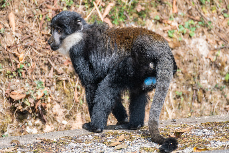 54054395495_666a0d634f_c