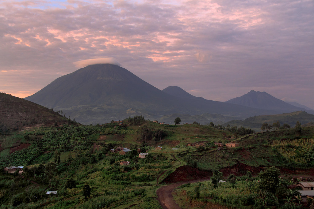 5592224006_890350f797_b