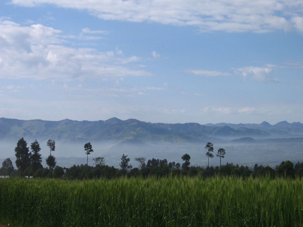 85156380_62d974f53a_b