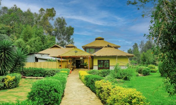 Da Vinci Gorilla Lodge Da Vinci Gorilla Lodge